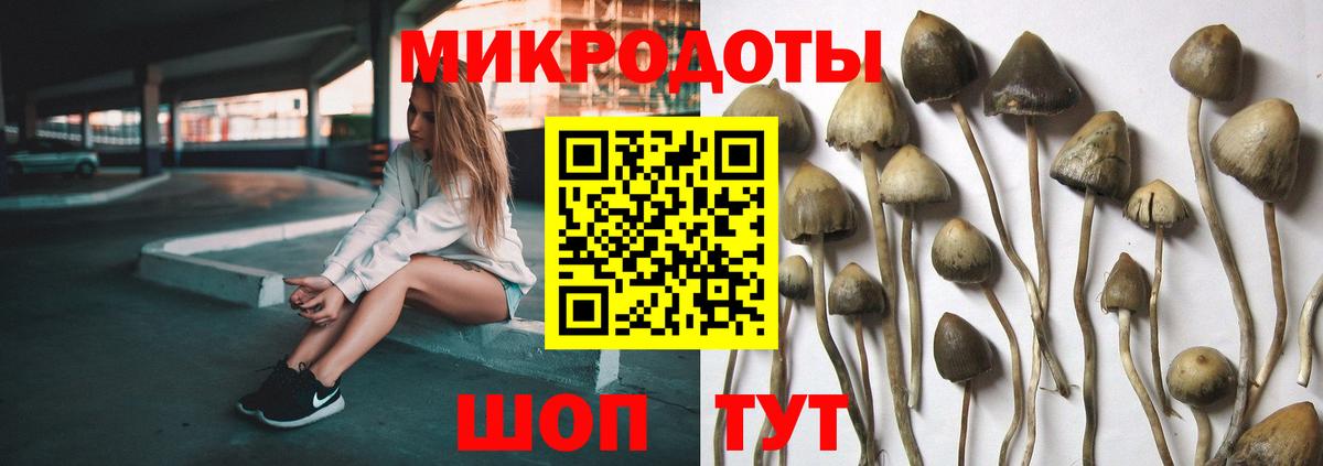 Псилоцибиновые грибы прущие грибы Аша